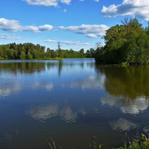 Zaņas dzirnavu dīķis Zaņas dzirnavu dīķis