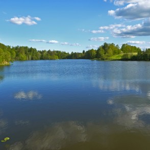 Zaņas dzirnavu dīķis Zaņas dzirnavu dīķis