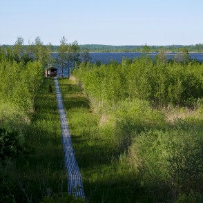 Koka dēļu laipu kas ved uz Lielauces ezeru Koka dēļu laipu kas ved uz Lielauces ezeru