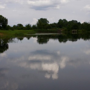 Rudupes dīķis Rudupes dīķis