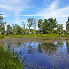 Viens no Kazdangas parka dīķiem Viens no Kazdangas parka dīķiem