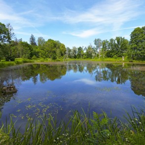 Kazdangas parka dīķa panorāma Kazdangas parka dīķa panorāma