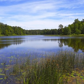 Kazdangas Dzirnezera ainava Kazdangas Dzirnezera ainava