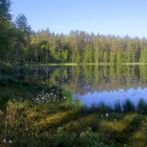 Lejas ezera ainava Lejas ezera ainava