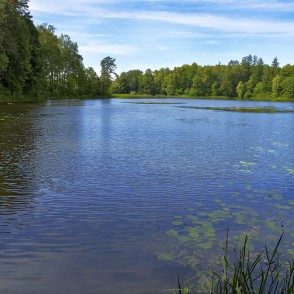 Kazdangas Dzirnezera ainava Kazdangas Dzirnezera ainava
