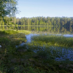 Lejas ezera ainava Lejas ezera ainava