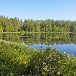 Lejas ezera ainava Lejas ezera ainava