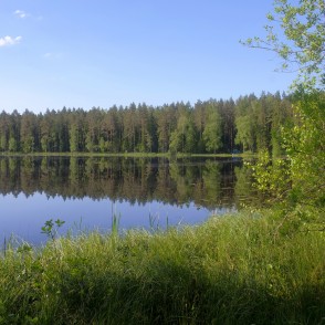 Lejas ezers, koku atspulgs ūdenī Lejas ezers, koku atspulgs ūdenī