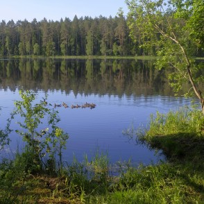 Lejas ezera ainava Lejas ezera ainava