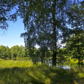 Vendzavu dzirnavu dīķis Vendzavu dzirnavu dīķis