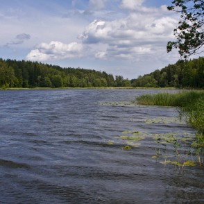 Valguma ezera ainava Valguma ezera ainava