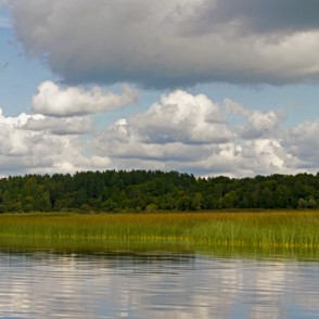 Burtnieka panorāma Burtnieka panorāma