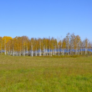 Alauksta ezera rudens panorāma Alauksta ezera rudens panorāma