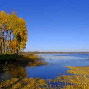 Alauksta ezera ainava rudenī Alauksta ezera ainava rudenī