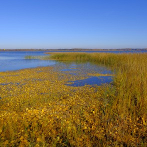 Alauksta ezers rudenī Alauksta ezers rudenī