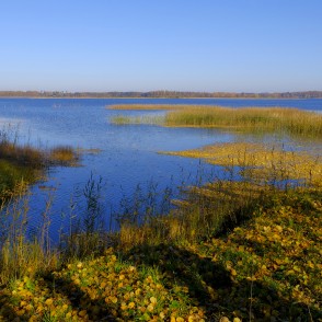 Alauksta ezers rudens nokrāsās Alauksta ezers rudens nokrāsās