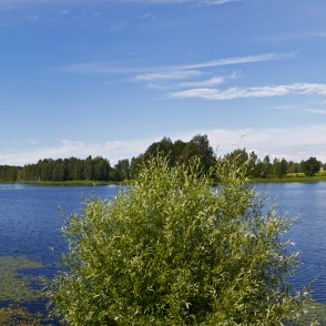 Bīriņu ezera panorāma Bīriņu ezera panorāma