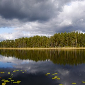 Velnezera ainava Velnezera ainava