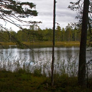 Seklenes ezers Seklenes ezers