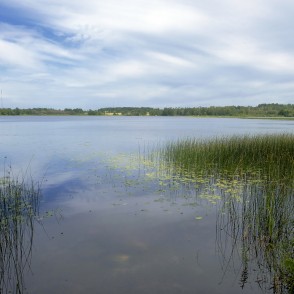 Stāmerienas ezers Stāmerienas ezers