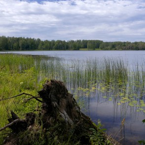 Stāmerienas ezers Stāmerienas ezers