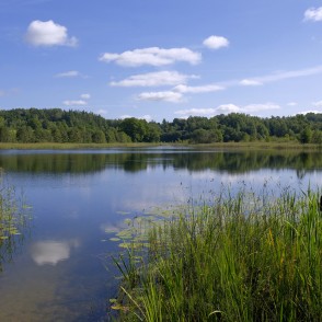 Ābeļezers Ābeļezers