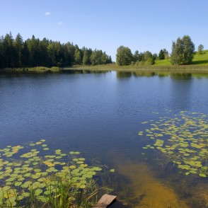 Sirdsezers (arī Sirds ezers, Sukturu ezers, Sukturezers) Sirdsezers (arī Sirds ezers, Sukturu ezers, Sukturezers)