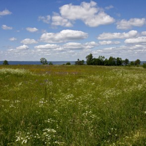Rāznas ezera ainava Rāznas ezera ainava
