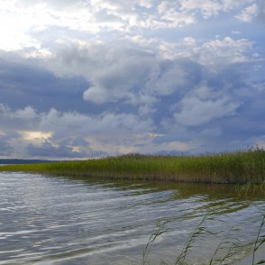 Plateļu ezera niedrāju krasts ar mierīgu ūdeni un plašām mākoņainām debesīm Plateļu ezera niedrāju krasts ar mierīgu ūdeni un plašām mākoņainām debesīm
