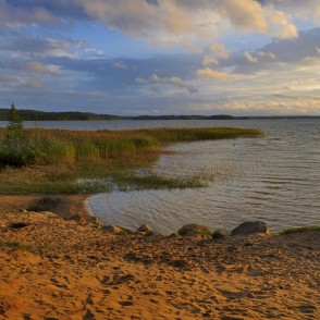 Smilšains ezera krasts ar niedrājiem un vakara gaismu virs ūdens Smilšains ezera krasts ar niedrājiem un vakara gaismu virs ūdens