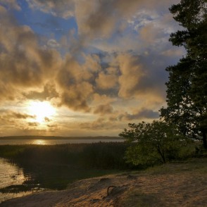 Zeltains saulriets pie ezera ar niedrājiem, smilšainu krastu un priežu siluetiem Zeltains saulriets pie ezera ar niedrājiem, smilšainu krastu un priežu siluetiem
