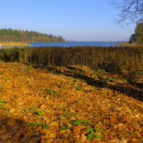Alūksnes ezera rudens ainava Alūksnes ezera rudens ainava