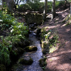 Ķeveles avoti (Karaļa avoti) Ķeveles avoti (Karaļa avoti)