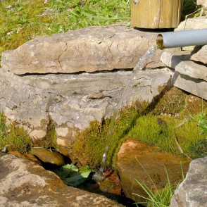 Avots Embūtes dabas parkā Avots Embūtes dabas parkā