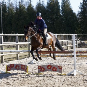 Lēciens pāri šķērslim Lēciens pāri šķērslim