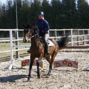 Jāšanas treniņi Jāšanas treniņi