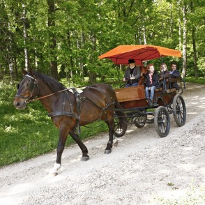 Zirga pajūgs Zirga pajūgs