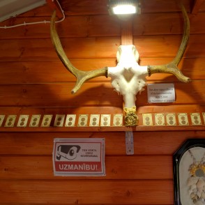 Pudeļu dārza naudas muzejs Pudeļu dārza naudas muzejs