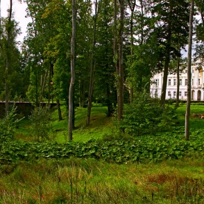 Kazdangas parka panorāma Kazdangas parka panorāma