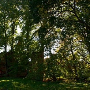 Skats uz Zlēku muižas drupām Skats uz Zlēku muižas drupām