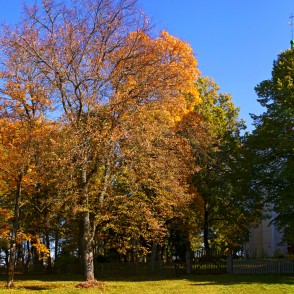 Panorāmas skats uz Zlēku baznīcu Panorāmas skats uz Zlēku baznīcu