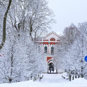 Skats uz LLU no Lielās ielas Pasta salā Skats uz LLU no Lielās ielas Pasta salā