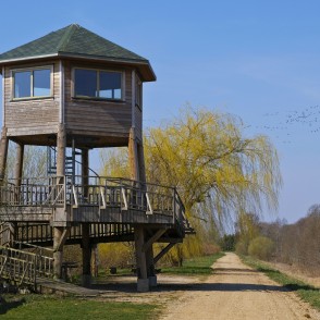 Tērvetes Gulbju tornis Tērvetes Gulbju tornis