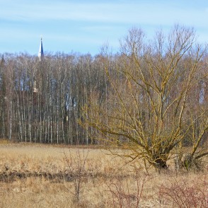 Skats uz Zaļenieku baznīcu caur bērziem pavasarī Skats uz Zaļenieku baznīcu caur bērziem pavasarī