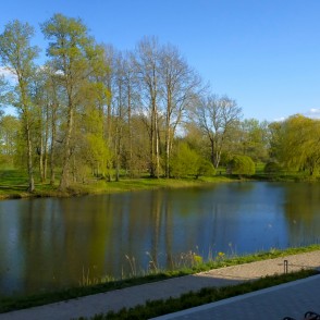 Jaunmoku pils dīķis Jaunmoku pils dīķis