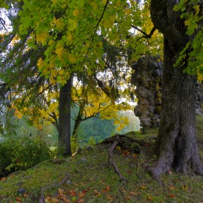 Alūksnes pilsdrupu mūra fragments Alūksnes pilsdrupu mūra fragments