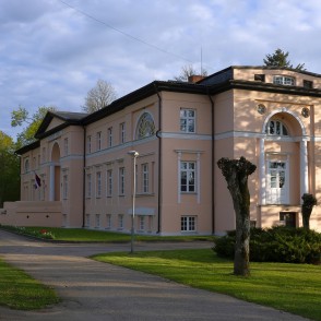 Tāšu-Padures muižas pils Tāšu-Padures muižas pils