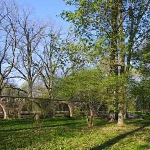 Elejas muižas mūra žogs no parka puses Elejas muižas mūra žogs no parka puses