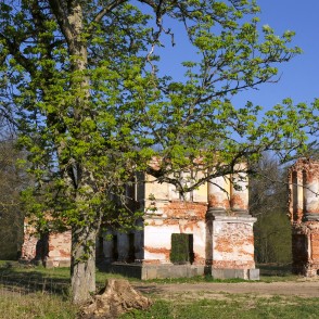 Elejas muižas drupas un plaukstoša kastaņa Elejas muižas drupas un plaukstoša kastaņa