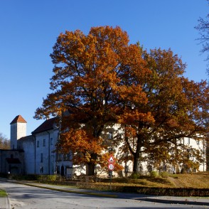 Dundagas pils Dundagas pils